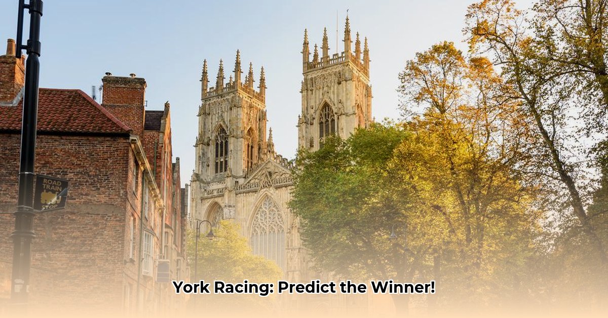 york-racing-tips